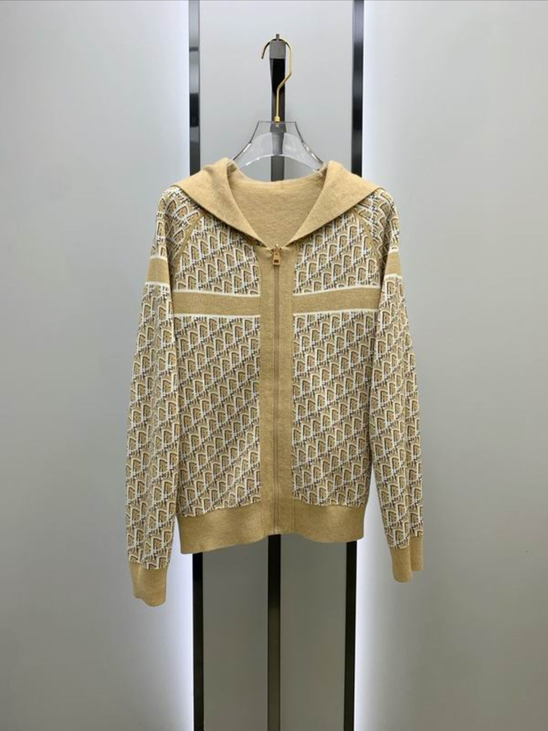 CD #Oblique Reversible Zipped Hoodie