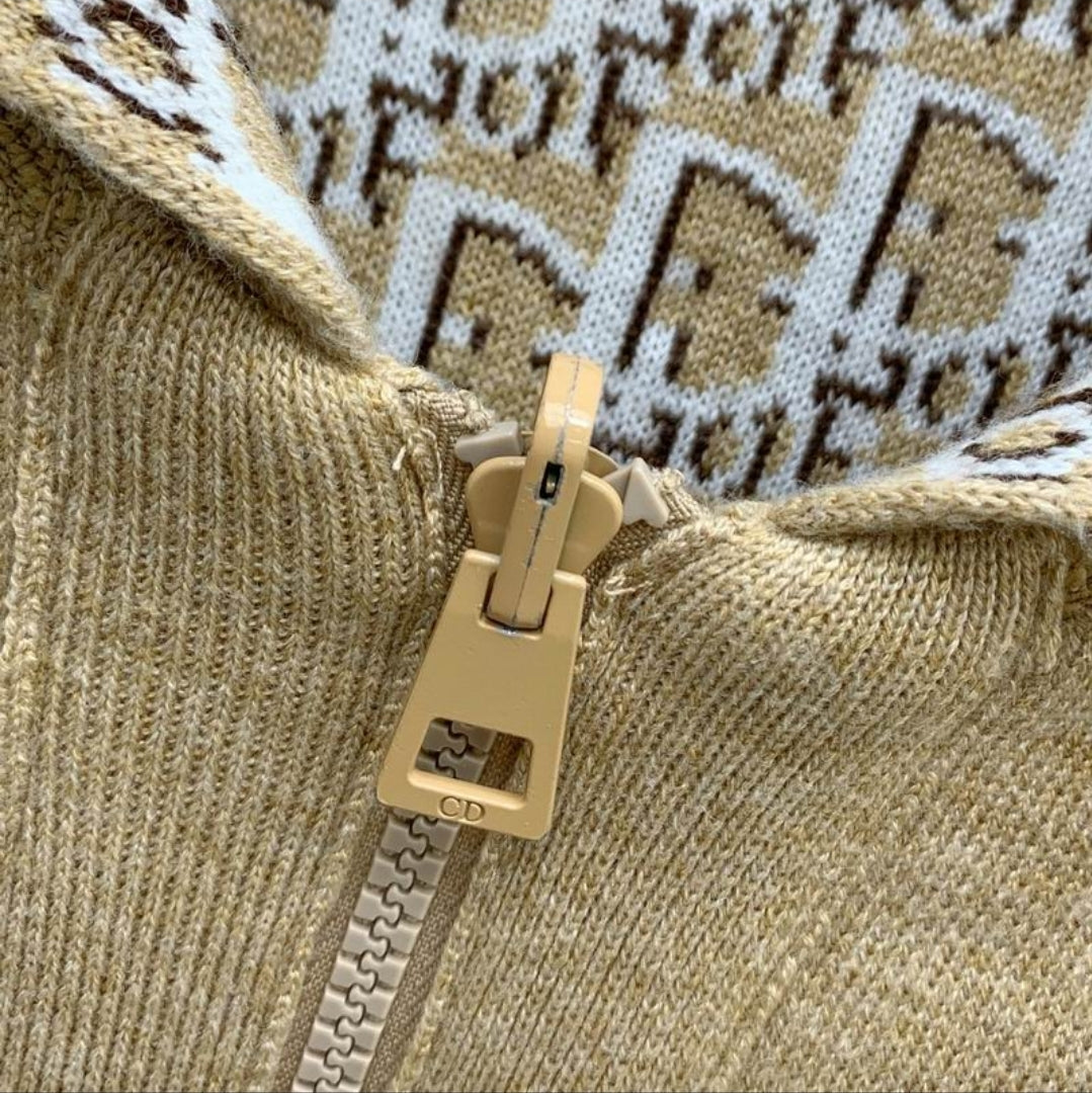 CD #Oblique Reversible Zipped Hoodie