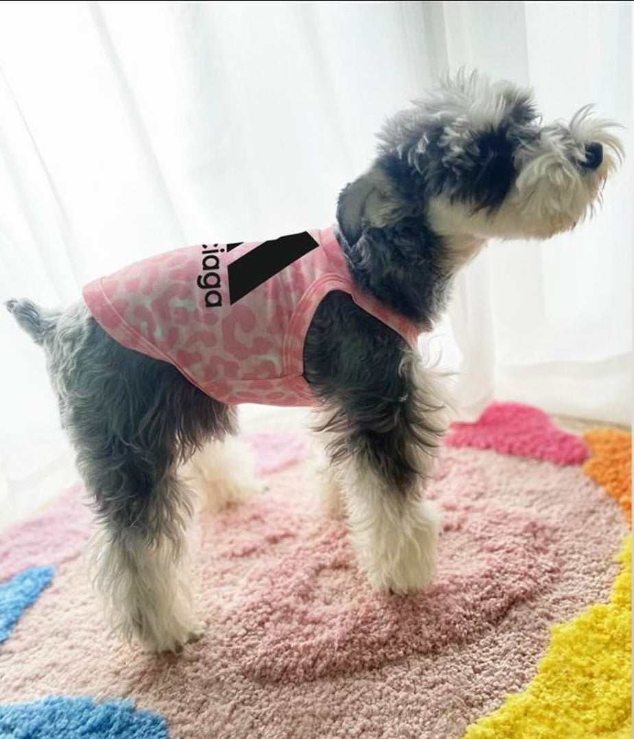 Bal #Pet Shirt