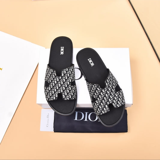 CD #Oblique×Hermes Slides